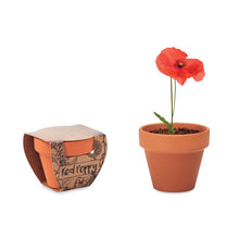 RED POPPY Terracotta pot 'poppy'