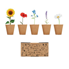 FLOWERS Flowers growing kit