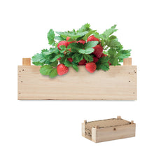 STRAWBERRY Strawberry kit in wooden crate