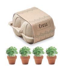 CRESS Egg carton growing kit